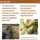 infoanimales.net