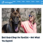 infodoggies.com