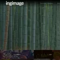ingimage.com