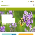 inmunodiagnostico.cl