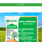 insumex.com.pe