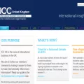 international-chamber.co.uk