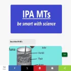 ipamts.com
