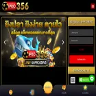 ipro356.com