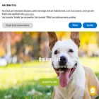 italianpet.com