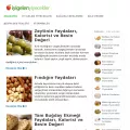 iyigelenyiyecekler.com