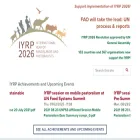 iyrp.info