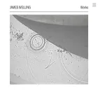 jameswelling.net