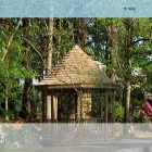 janicesmylie-eft.com