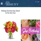 jdsirishivy.com