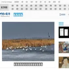 jl.chinadaily.com.cn