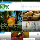jornalprime.com.br