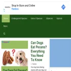 jspecies.com