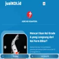 jualkoi.id