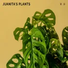 juanitasplants.com