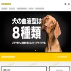 jungle-time.com