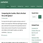 justcatcafe.com