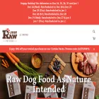 justrawpetfood.ca
