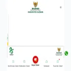 kabsleman.baznas.go.id