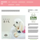 kanaheirocket-pre.com