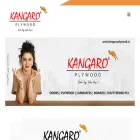 kangaroplywood.in