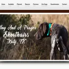 katygsp.com