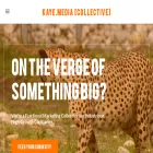 kayemediapartners.com