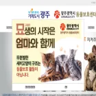 kcanimal.or.kr