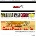 kingnt.com