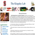 kingsley.stanford.edu