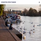 kingstonuponthames.info