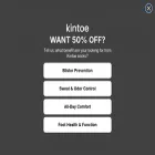 kintoe.com