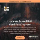 kodamoss.com