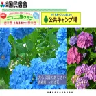 kokumin-shukusha.or.jp