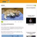 korzik.net