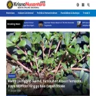 krisnanusantara.com