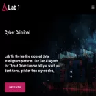 lab-1.com