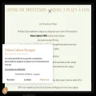 lafauriepeyragueylalique.com