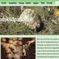 landskildpadde.dk