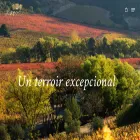 lapostollewines.com