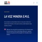 lavozmineraemg.com