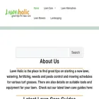 lawnholic.com
