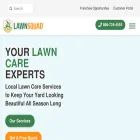 lawnsquad.com