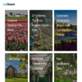 leafseason.com