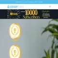 ledgergurus.com