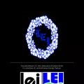 lei.com