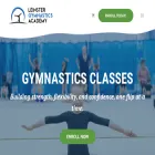 leinstergymnasticsacademy.com