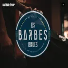 lesbarbesbleues.com