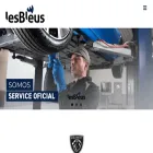lesbleus.com.ar