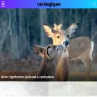 lesmagiques.com